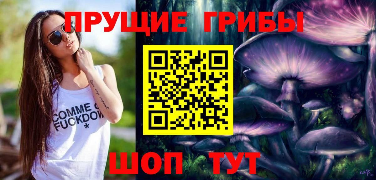 Галлюциногенные грибы Psilocybe Киселёвск