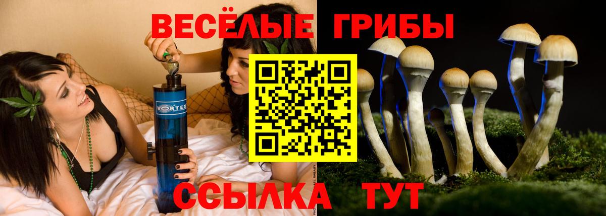 Киселёвск  Галлюциногенные грибы мухоморы  купить   Вход с VPN 